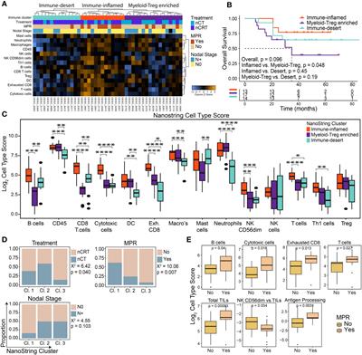 The oesophageal adenocarcinoma tumour immune microenvironment dictates outcomes with different modalities of neoadjuvant therapy – results from the AGITG DOCTOR trial and the cancer evolution biobank